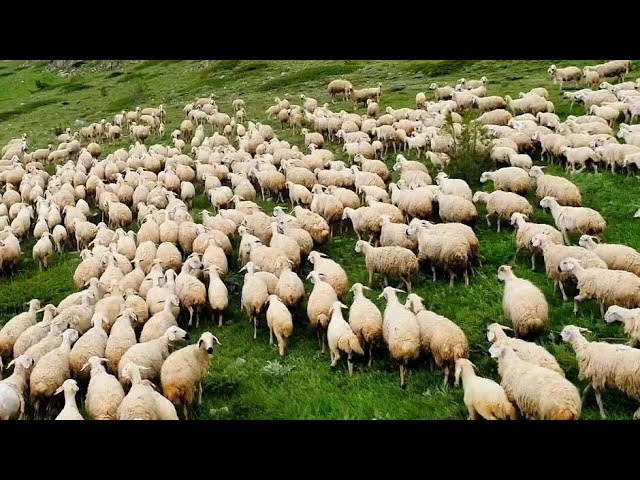 „Ich bleibe trotzdem bei dir!“