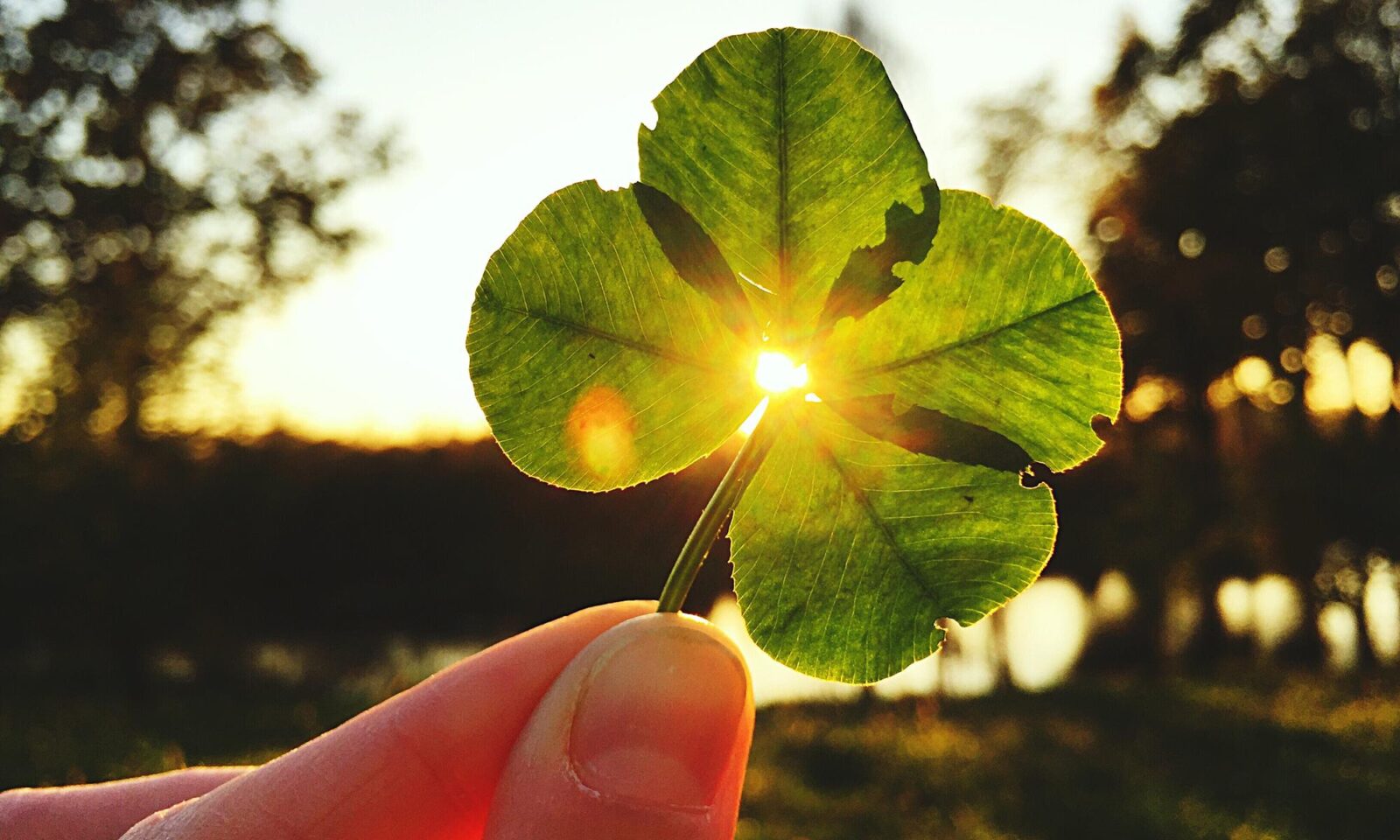 Hörfunksendung am 25. Januar 2026 auf „SWR1“                        Alle Meldungen anzeigen