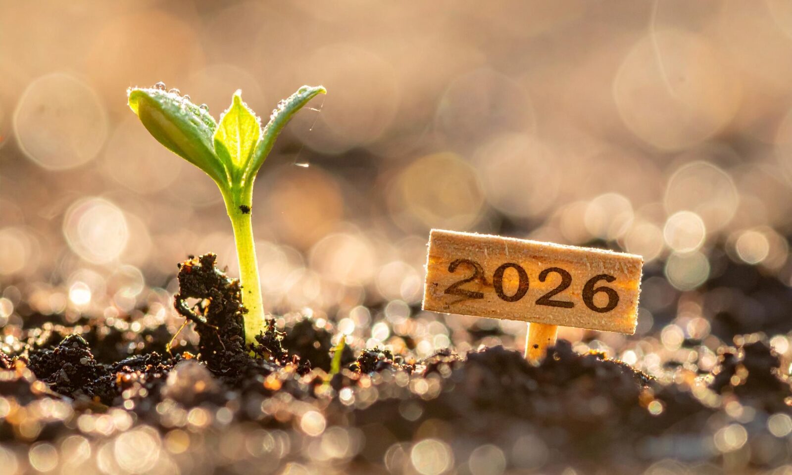 Jahresmotto 2026: „Fürchte dich nicht, glaube nur!“                        Alle Meldungen anzeigen