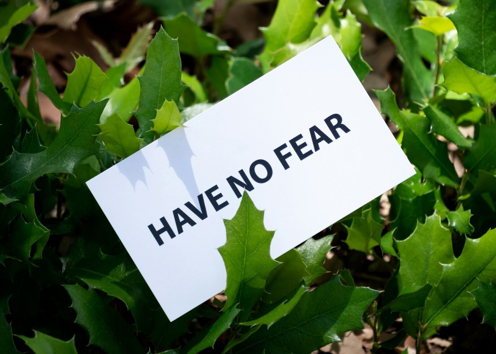 Pregled službi Božjih u siječnju 2026. – Novoapostolska Crkva