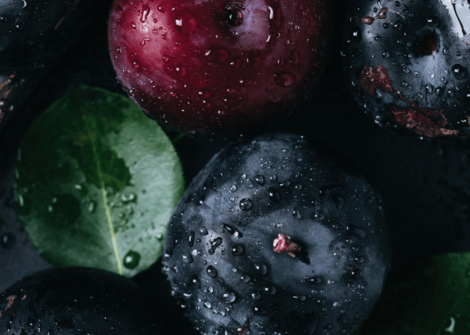 Dan zahvale za žetvu – nekad i sada – Novoapostolska Crkva