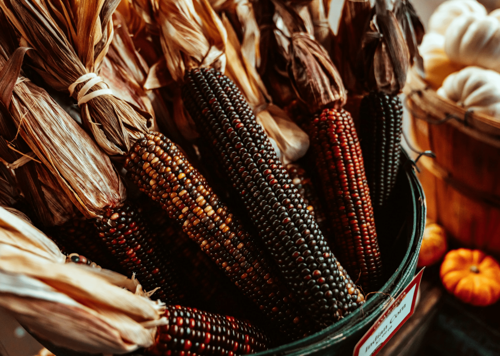 Pregled službi Božjih u listopadu 2025. – Novoapostolska Crkva