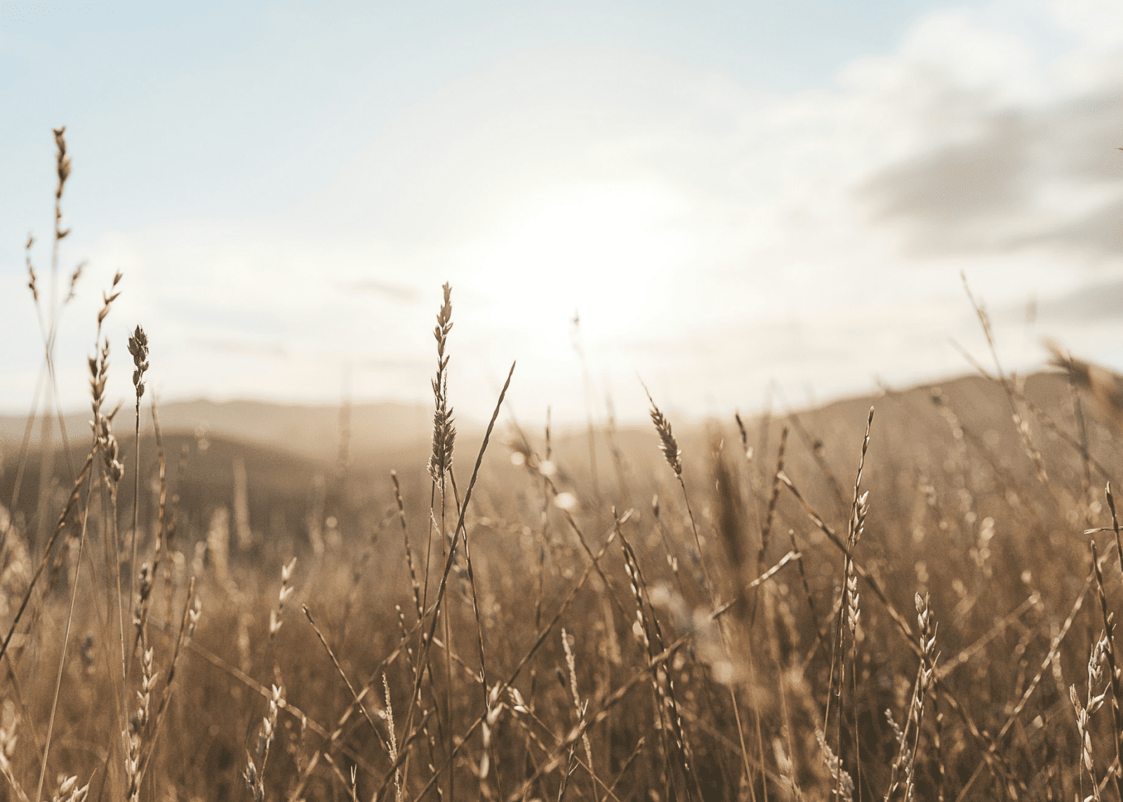 Pregled službi Božjih u srpnju 2025. – Novoapostolska Crkva