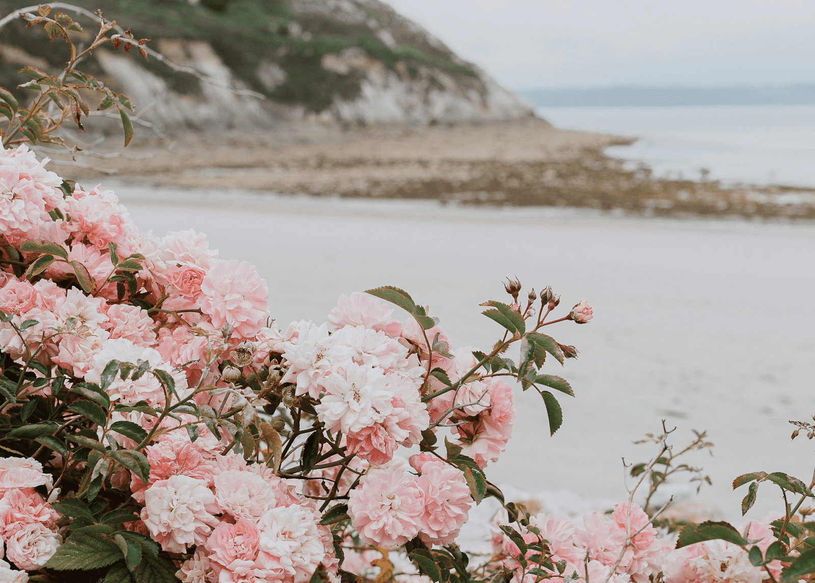 Pregled službi Božjih u lipnju 2025. – Novoapostolska Crkva