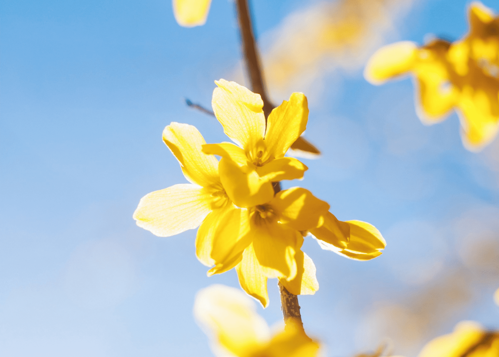 Pregled službi Božjih u travnju 2025. – Novoapostolska Crkva