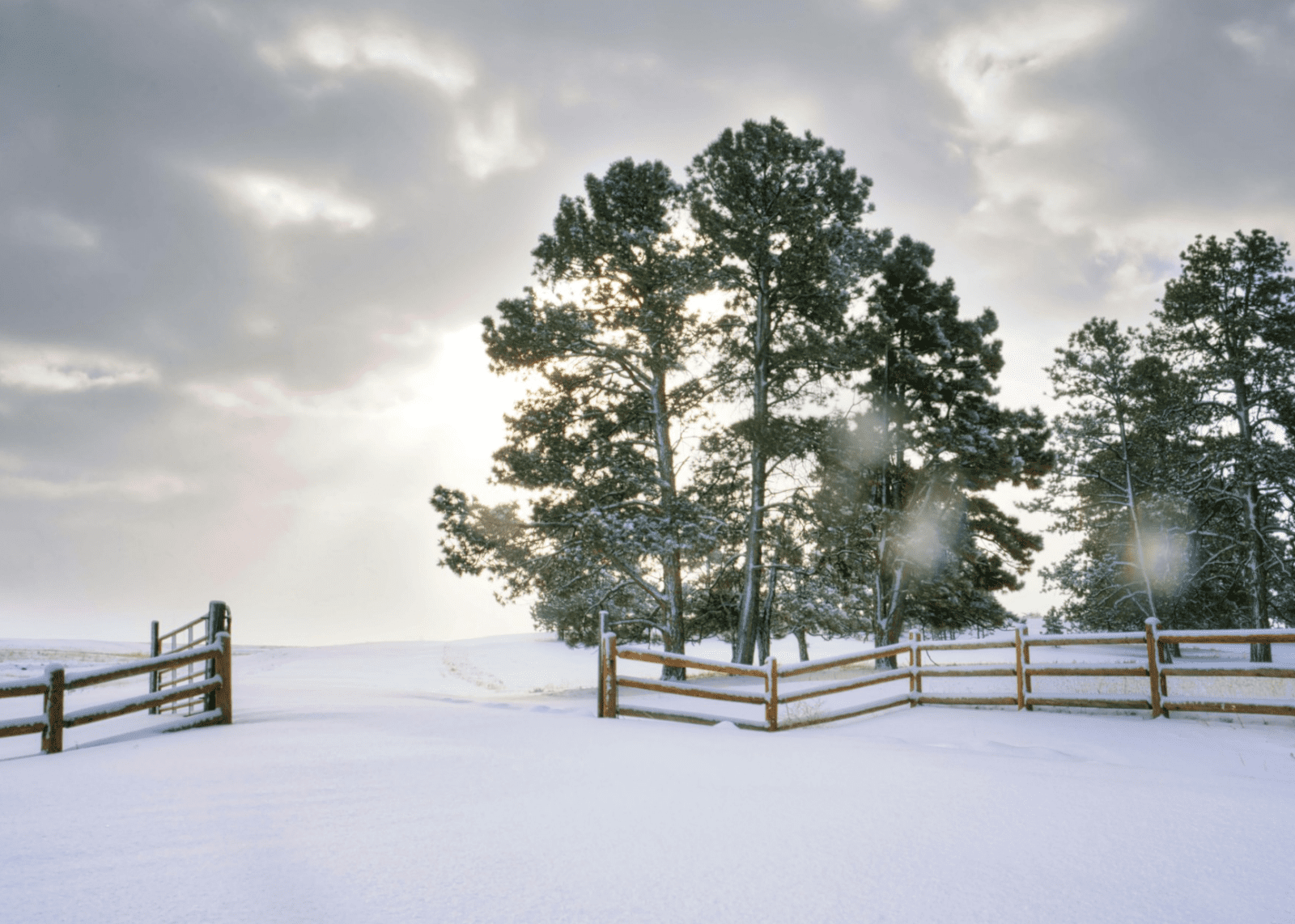 Punina života – Novoapostolska Crkva