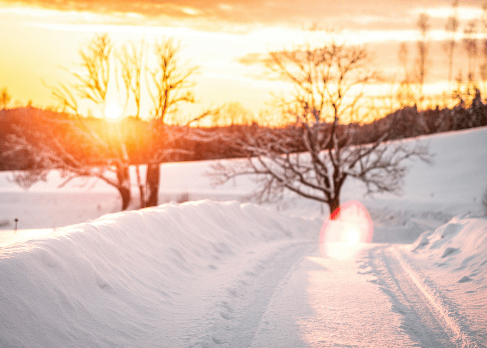 Pregled službi Božjih u veljači 2025. – Novoapostolska Crkva