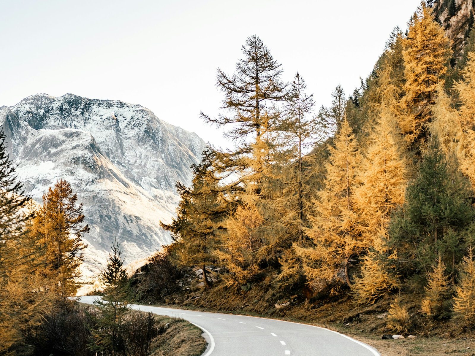 Pregled službi Božjih u listopadu 2024. – Novoapostolska Crkva