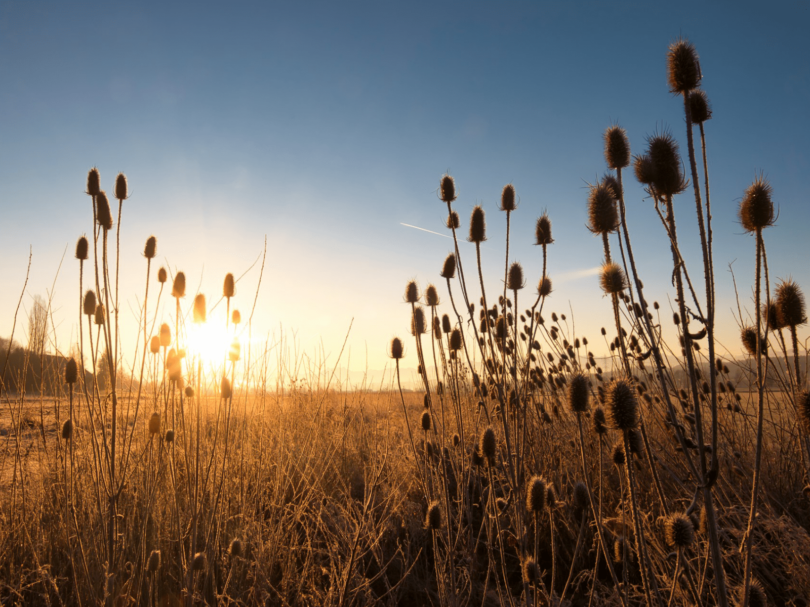 Pregled službi Božjih u rujnu 2024. – Novoapostolska Crkva
