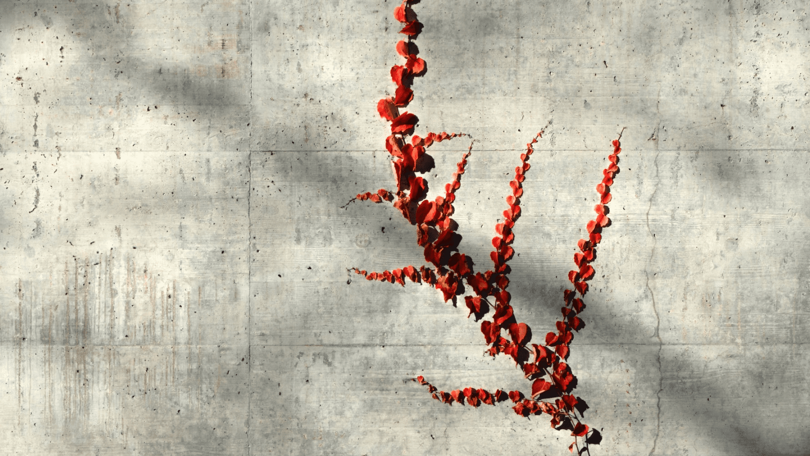 Odnos prema Isusu Kristu čini nas jakima u duhu – Novoapostolska Crkva