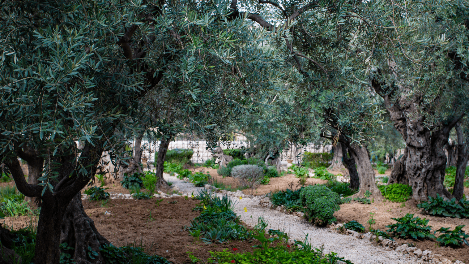 Krist je kralj – Novoapostolska Crkva