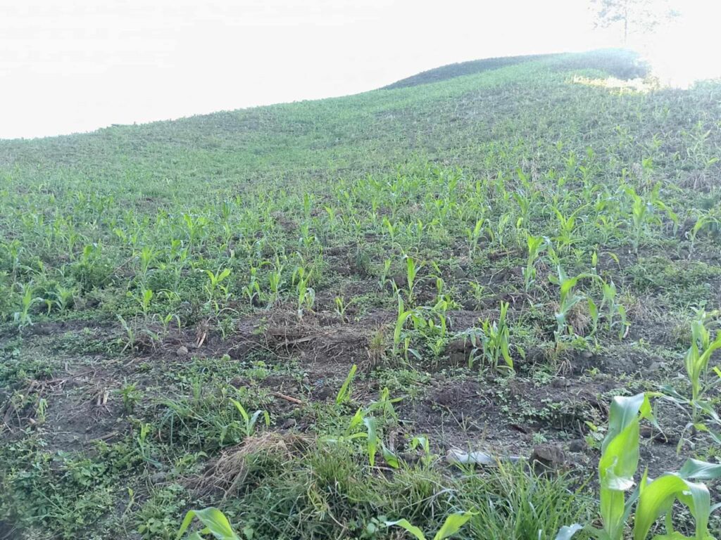 Hope fulfilled | The NAC SEA Relief Fund