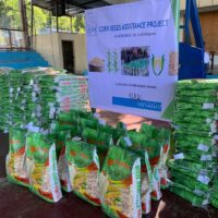 Phase 2 of Corn Seeds assistance 
