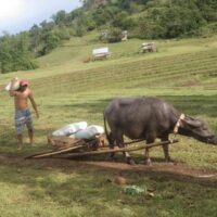 Every Project starts with a delivery