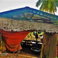 Together let us go onward