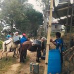 The horses are saddled | The NAC SEA Relief Fund