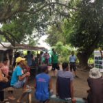 Its not just rice and corn