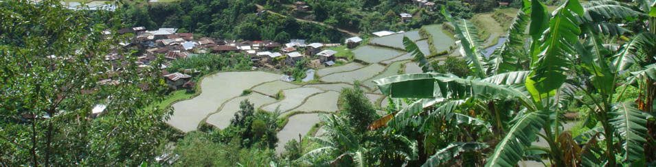 Luminawa Switzerland | The NAC SEA Relief Fund