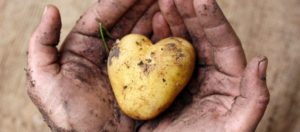 World Food Day 2017 | The NAC SEA Relief Fund