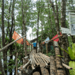 Progress report update of Anduhaw Crab Fattening Livelihood Project