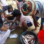 Nacsea Relief Fishing Gear Project in Batad, Iloilo