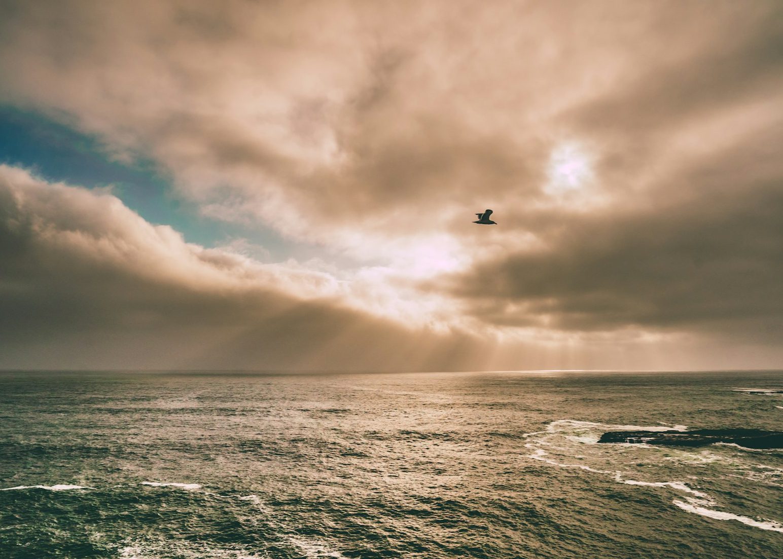 Pregled službi Božjih u svibnju 2026. – Novoapostolska Crkva