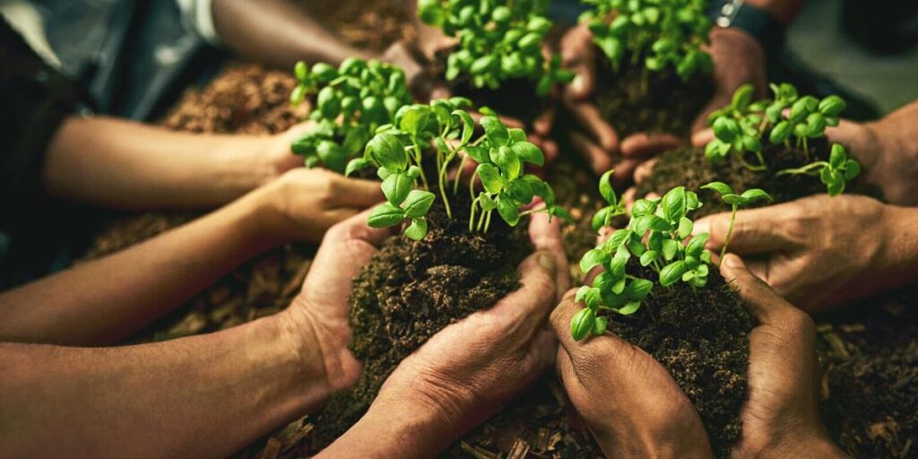 Believing, growing, arriving
