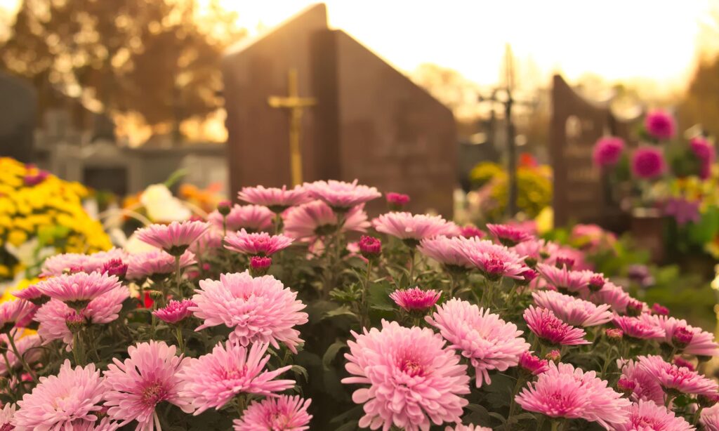 Gottesdienst für Entschlafene im Juli 2026                        Alle Meldungen anzeigen