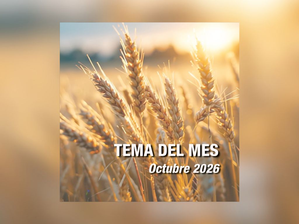 Damos gracias al Creador